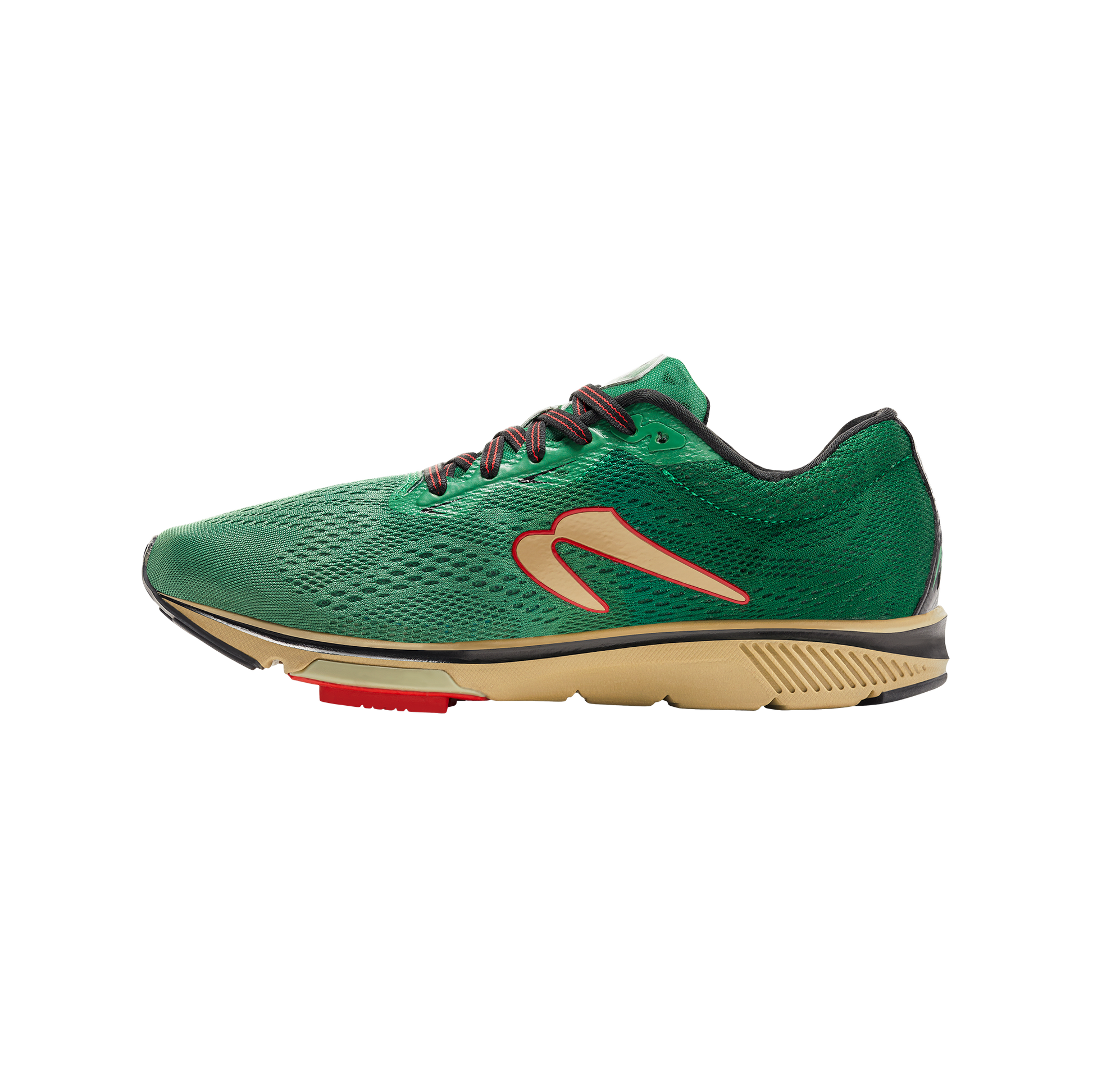 Newton 2025 gravity iv