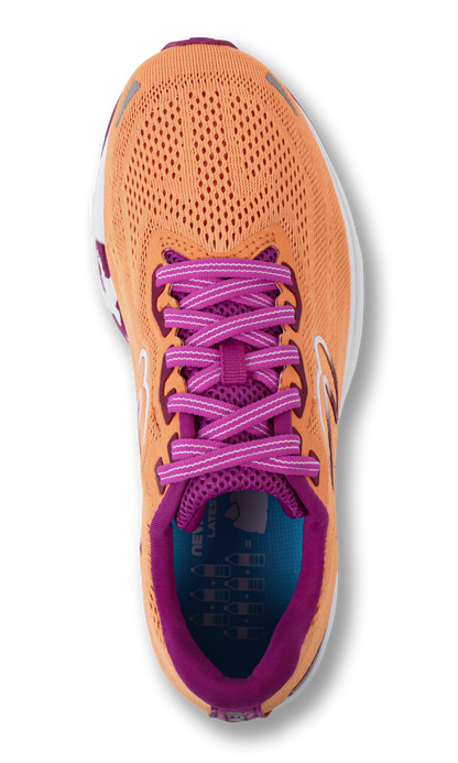 Damen Motion 14
